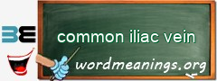 WordMeaning blackboard for common iliac vein